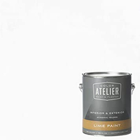 Color Atelier Lime Paint | $98 for one gallon at Amazon