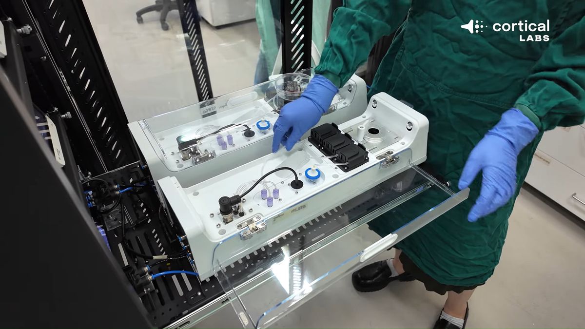 Cortical Labs CL1
