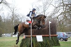 HorseNo120_Belton14pn_8488.jpg
