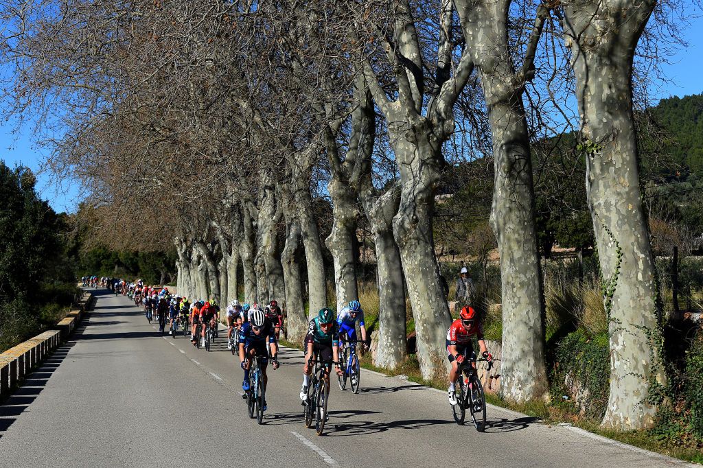 ANDRATX SPAIN JANUARY 29 LR Einer Augusto Rubio Reyes of Colombia and Movistar Team Andreas Lorentz Kron of Denmark and Team Lotto Soudal and Damien Howson of Australia and Team BikeExchange Jayco lead the peloton during the 31st Challenge Ciclista Mallorca 2022 Trofeo Pollena Port d Andratx a 170 km race from Pollena to Andratx 214m ChallengeMallorca on January 29 2022 in Andratx Spain Photo by Dario BelingheriGetty Images