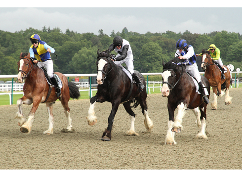 Morpheus (centre) 1st Shire Horse Race