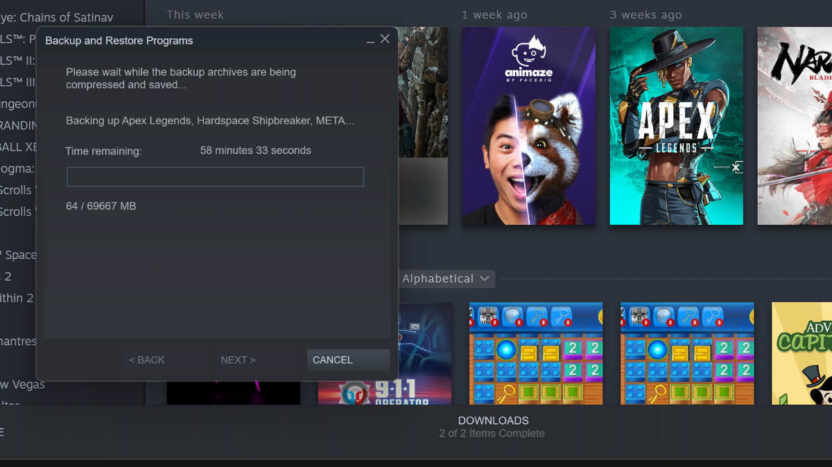 Steam Library Backup Process