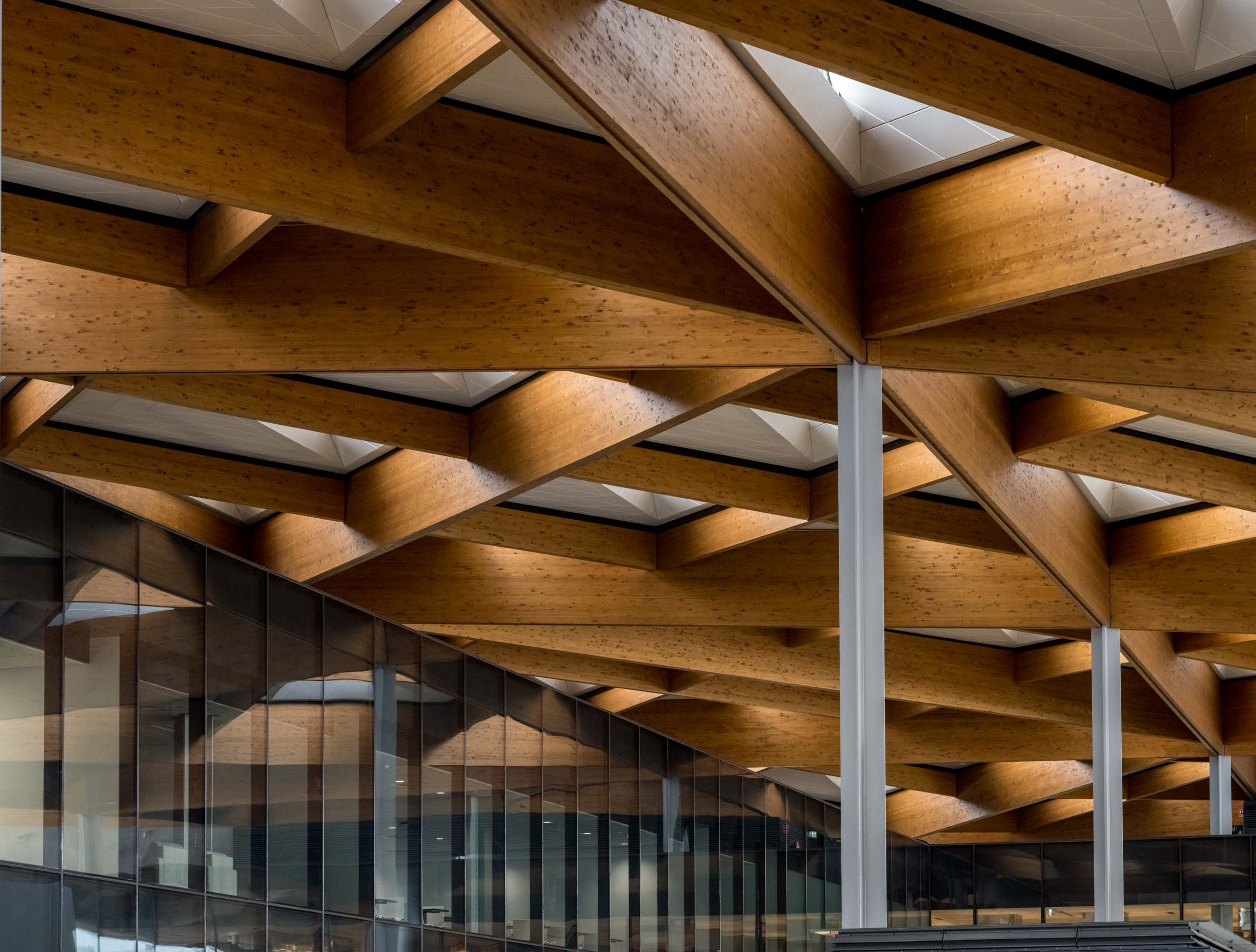 view of Sydney_Fish_Market and its dramatic timber roof