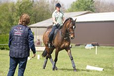 Al having a dressage lesson