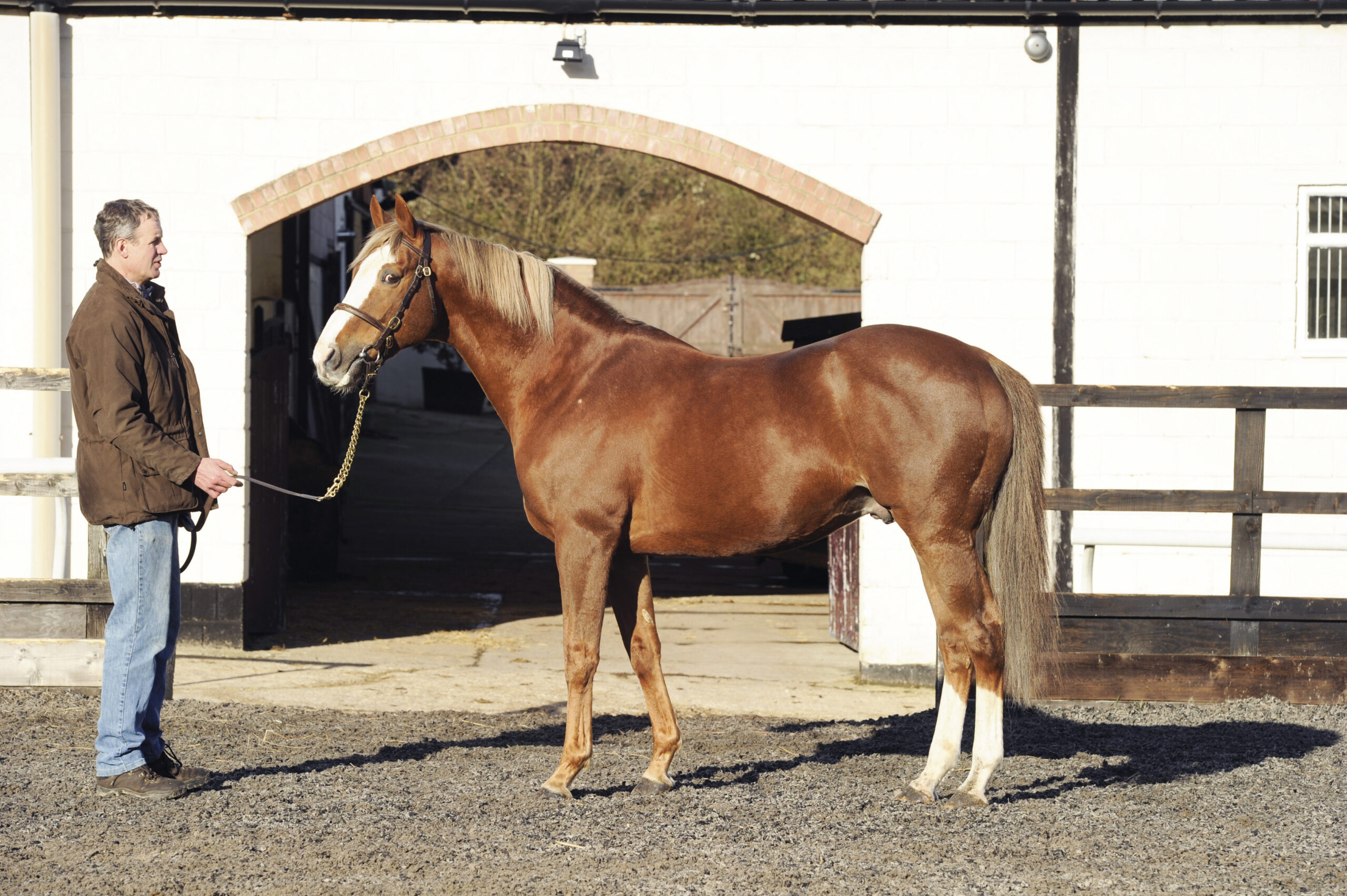 Ascot Gold Cup-winning stallion Double Trigger