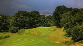 Knole Park - Hole 3