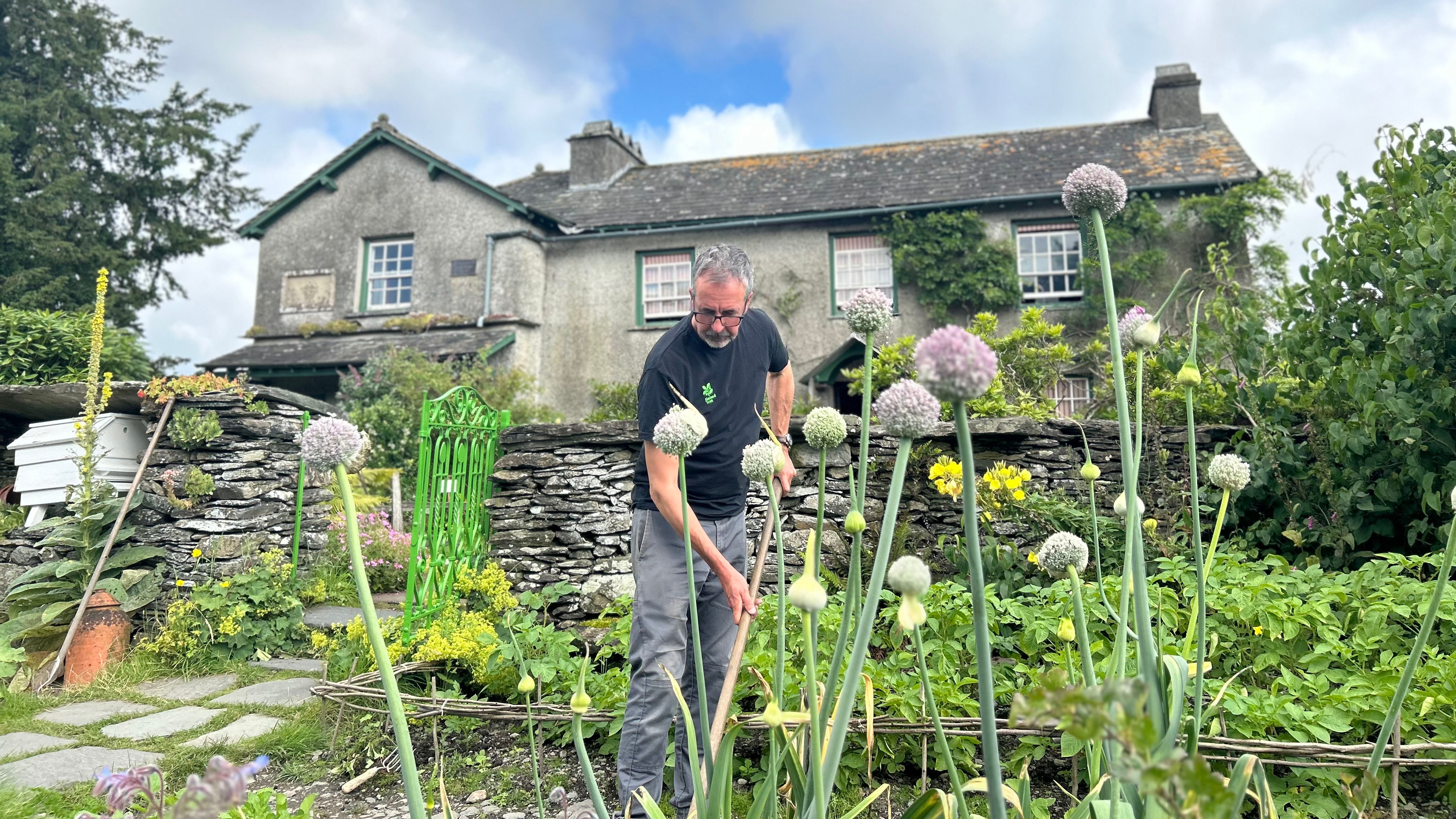 Head Gardener working the garden in front of Beatrix Potter's house, Hill Top.