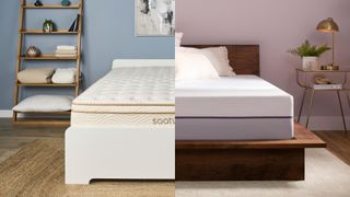 A Saatva Classic Mattress on a bed frame in a bedroom (left) and the Purple Plus mattress on a bed frame in a bedroom (right)