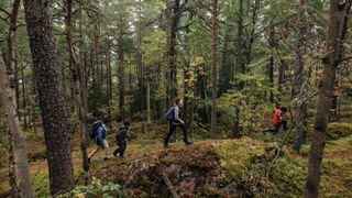 hikers in Sweden