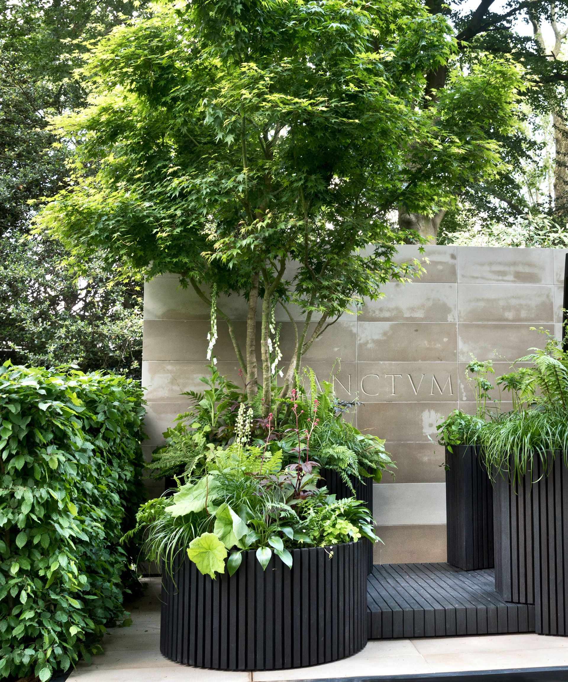 large container with tree and underplanting