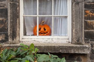 halloween windows