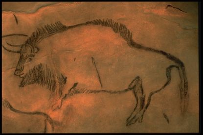 Niaux Cave drawing