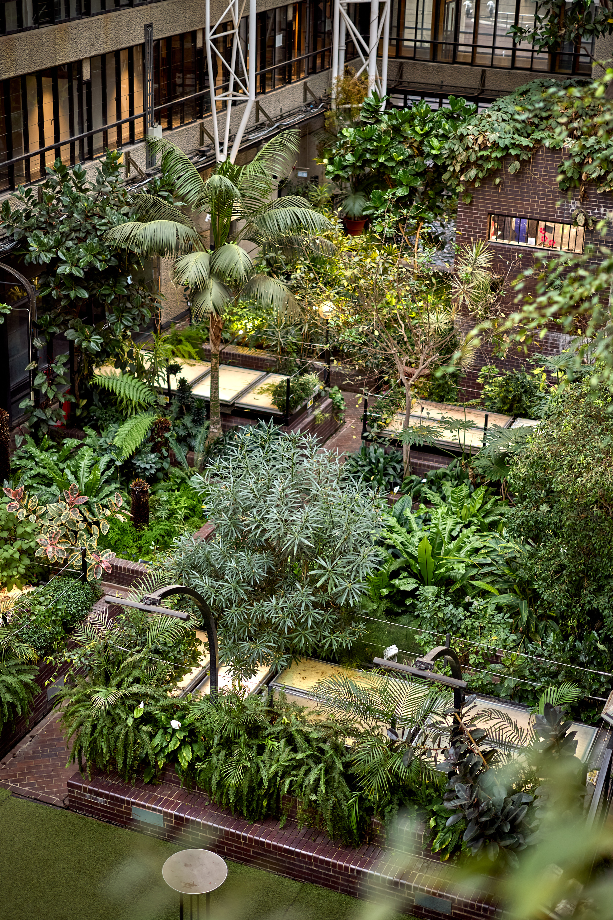 Barbican Conservatory to be redesigned by harris bugg studio