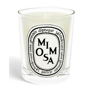 Diptyque Mimosa Classic Candle - best Diptyque candles