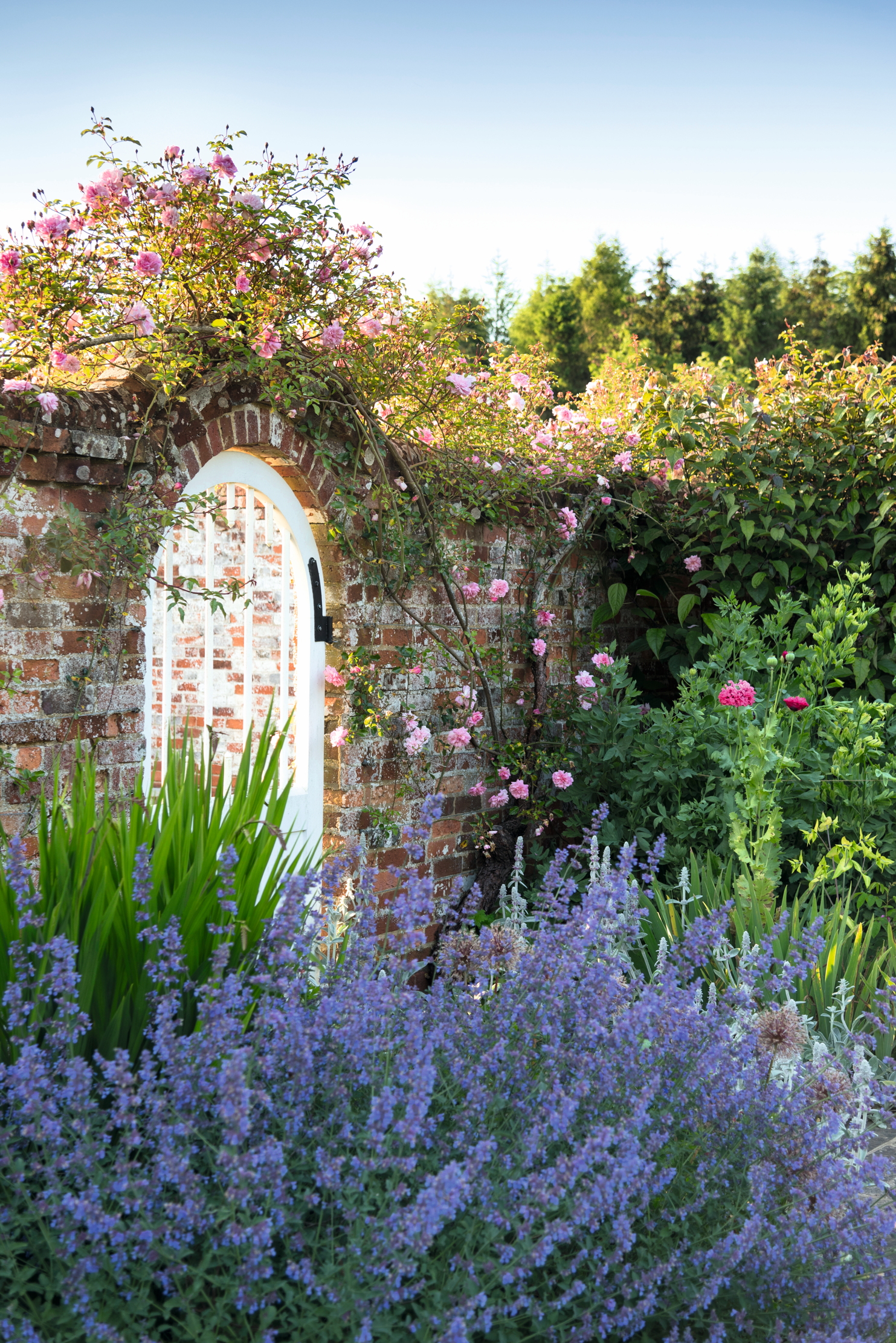 Images of The Holt in Hampshire