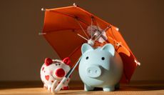 Two piggy banks under a miniature umbrella