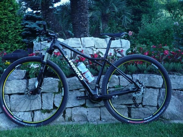 The Specialized Fate from the non-drive side.