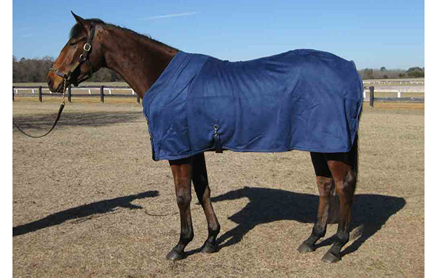 equsuede_cooler_dk_blue