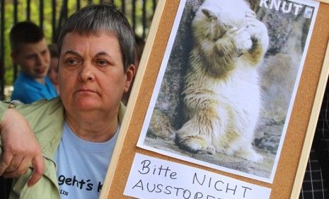 A protest sign reads &amp;quot;Knut - Please don&amp;#039;t stuff!&amp;quot;: People gathered earlier this month in outcry over the Berlin Zoo stuffing the beloved bear for view in a museum.