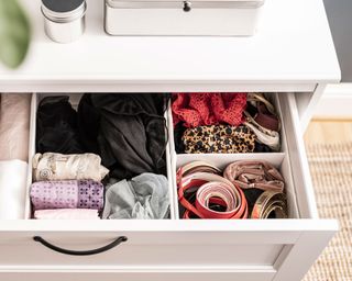 drawer with organizers