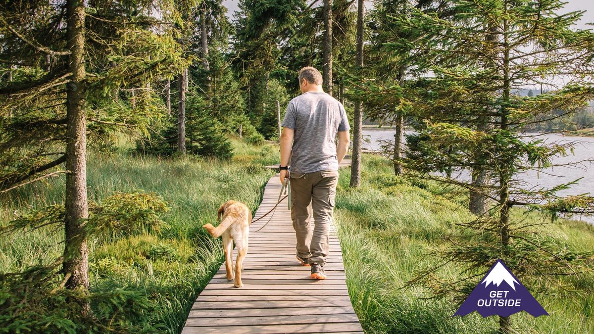 I did a 10-minute walking meditation every day for a week — here's what happened to my body and mind - Vimarsana News
