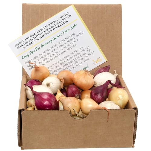Mixed Onion Assortment 50 Plus Count Onion Sets - Red, White and Yellow Varieties Non-Gmo Onion Bulbs