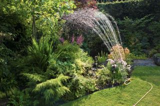 Garden sprinkler watering a flowerbed in an English country garden