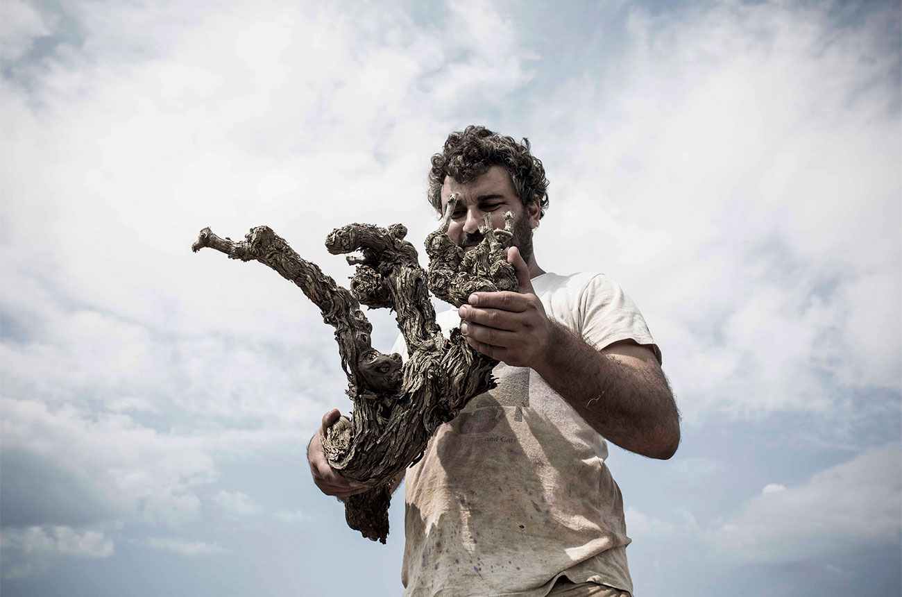 Ca'n Verdura Tomeu Llabres