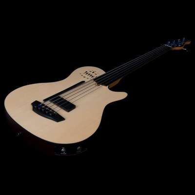 Godin fretless bass guitar