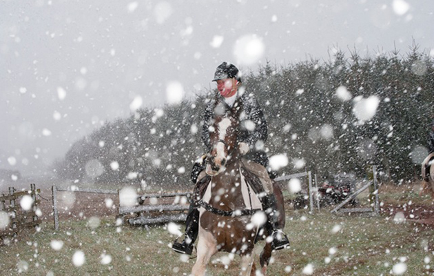 horsesinsnow2