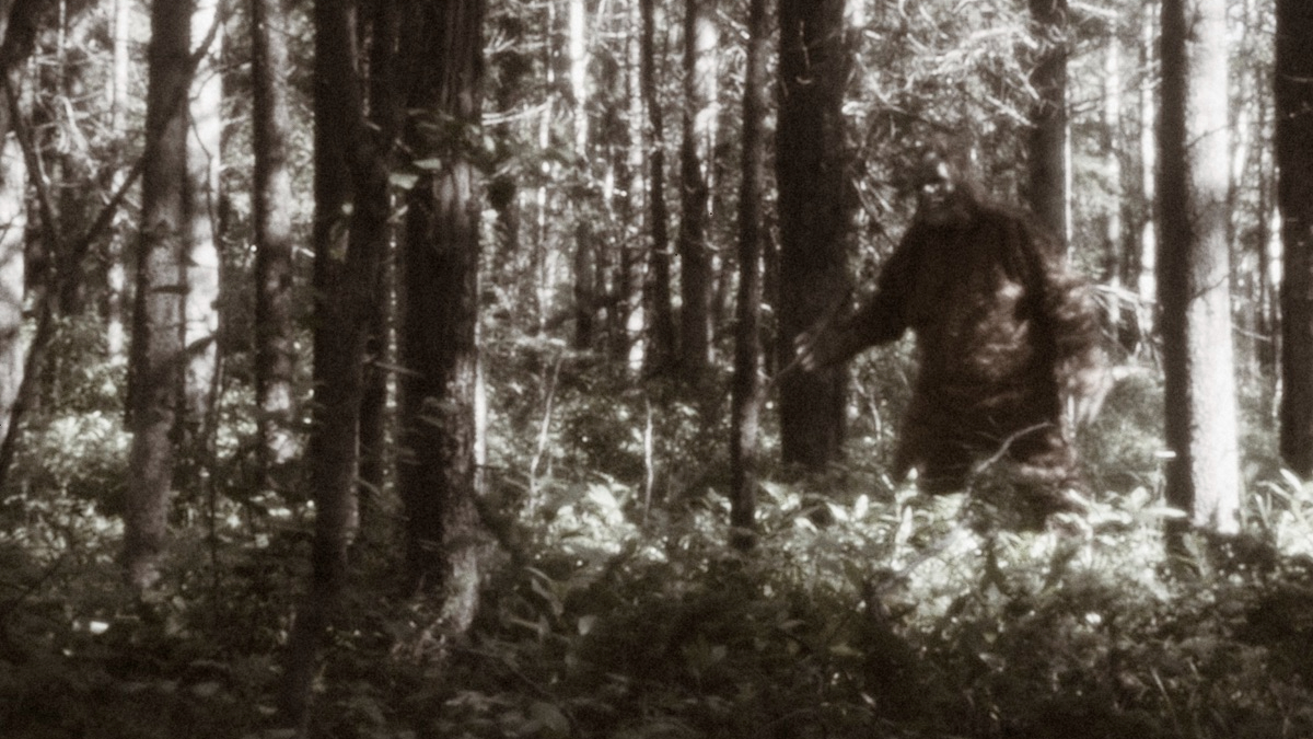 A blurry image of a supposed Bigfoot sighting
