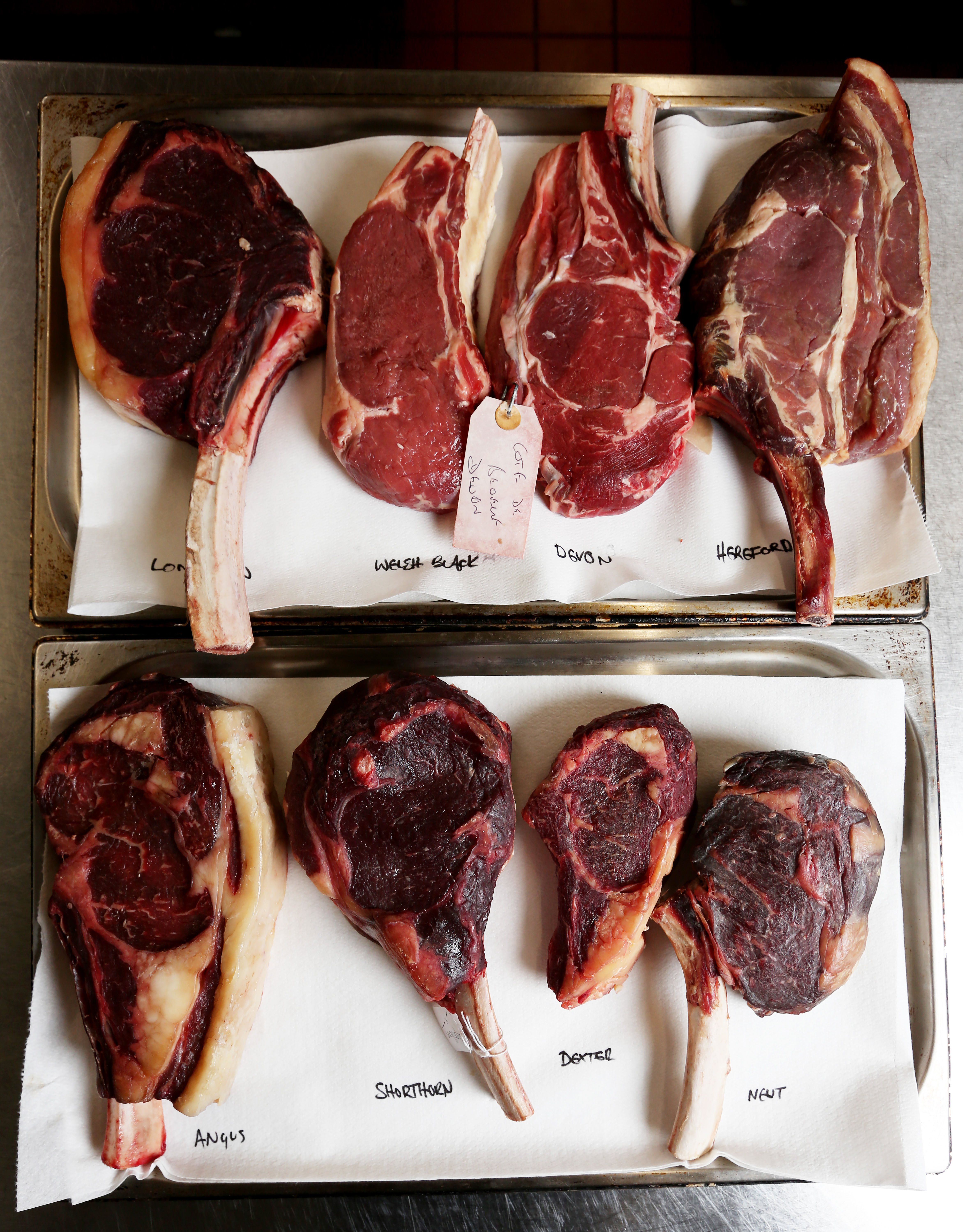 Steak tasting