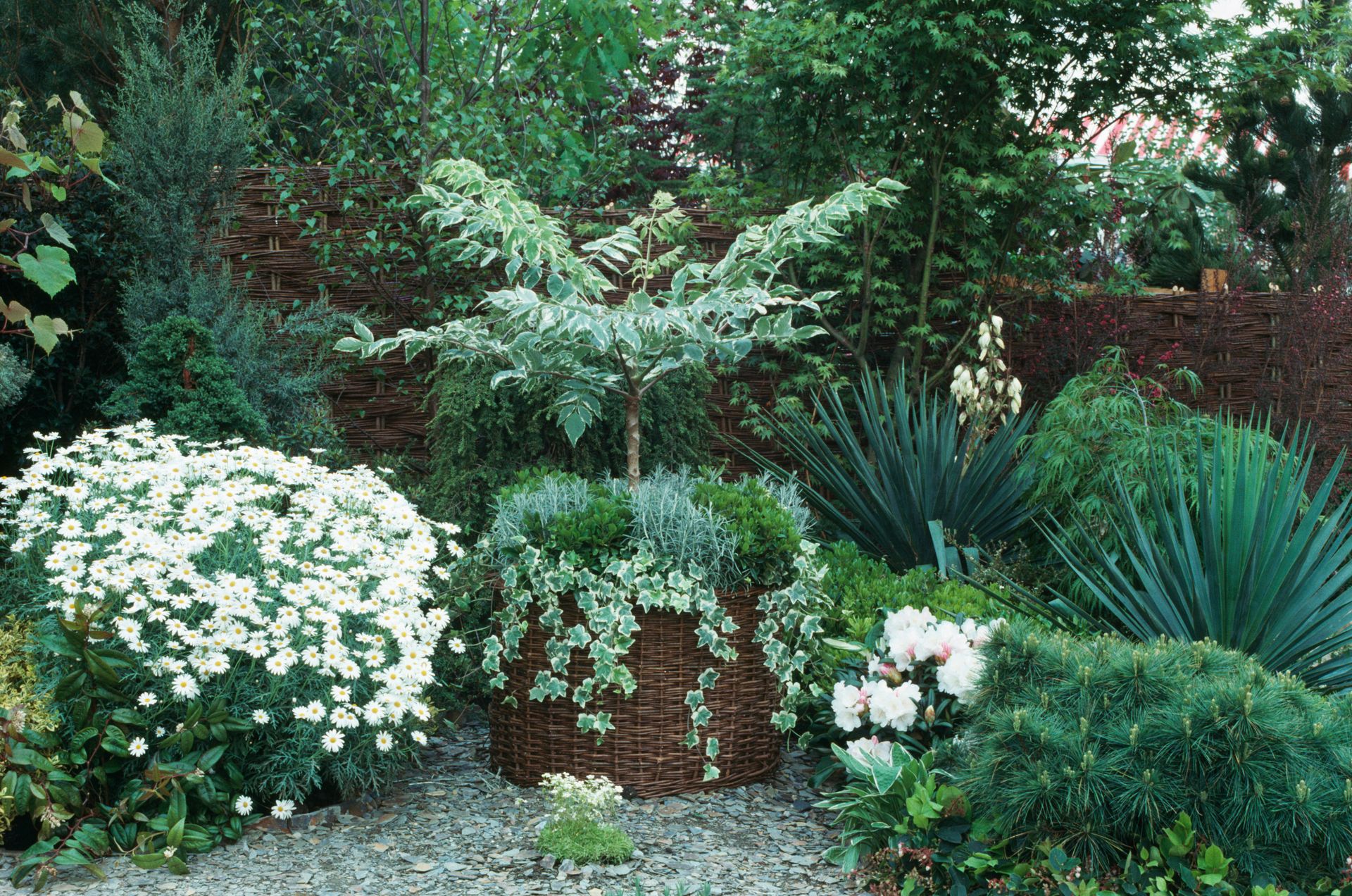 How to underplant containers for an extra vibrant backyard | Livingetc