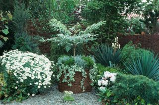 A backyard with trees in container pots with shrubs around the bottom
