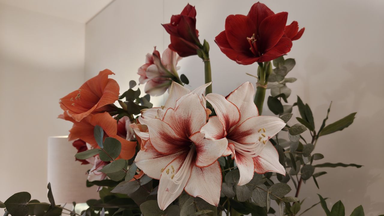 Nothing Phone (4a) Pro review camera samples