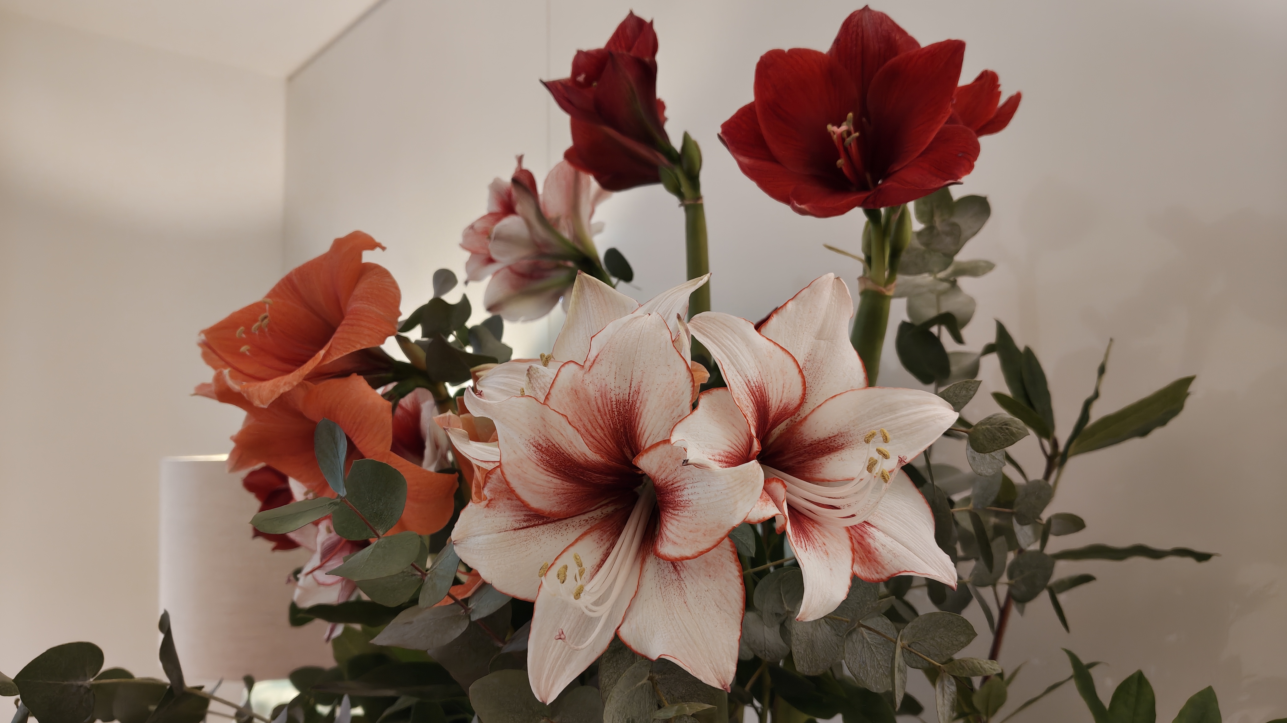 Nothing Phone (4a) Pro review camera samples