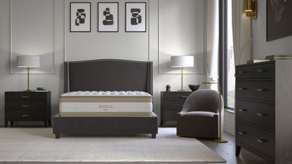 Saatva Rx Mattress on a gray bed frame against a white wall.