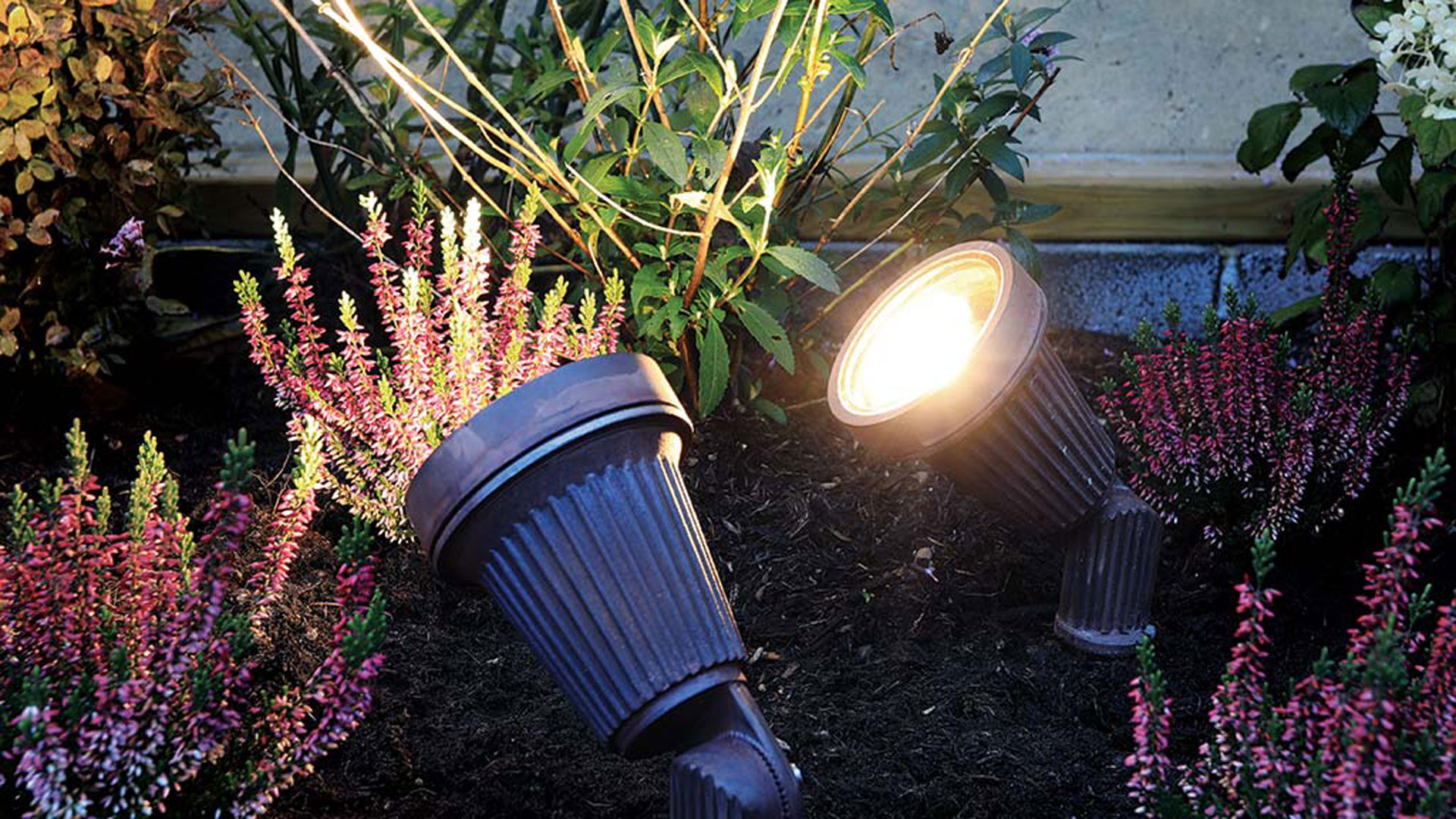 spike lights in flowerbed
