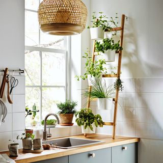 Kitchen sink and counter, wooden ladder shelf with plants displayed