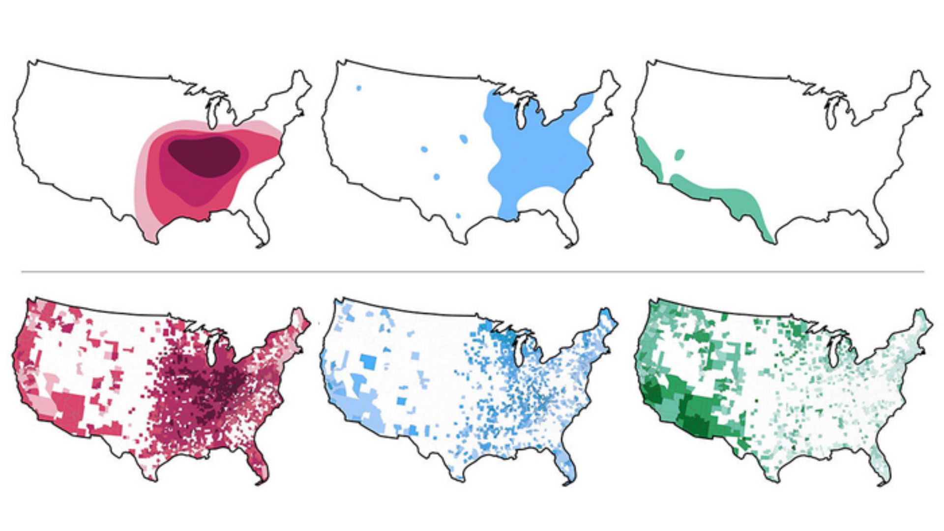 three U.S. maps show how the historic and current distributions of three soil-borne fungi differ now as compared to the 1950s. The fungi are color-coded red, green and blue and each show drastically more coverage in the current maps than previous