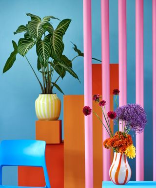 Modern and colorful flowers and houseplants on bold background
