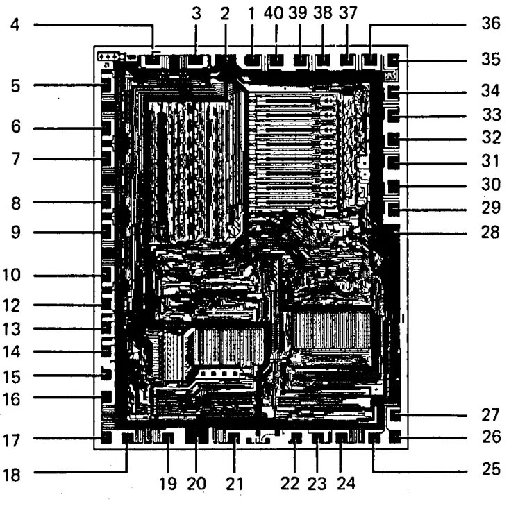 AM9080 die shot