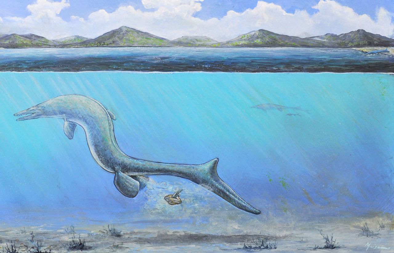 The mosasaur might have laid the egg underwater (as some sea snakes do today) or on land (as modern sea turtles do).