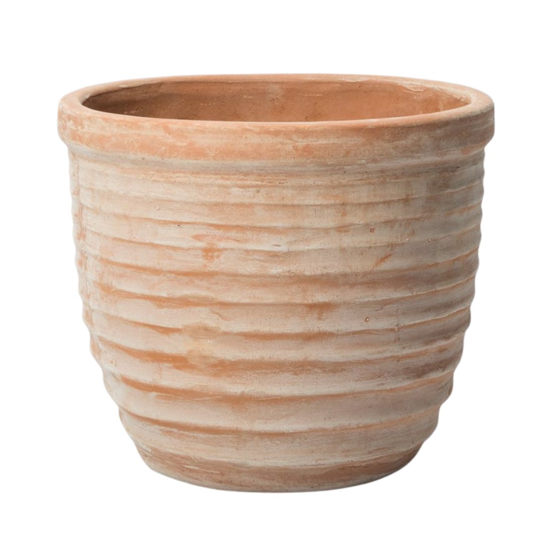 Primrose , Ribbed Terracotta Round Planter
