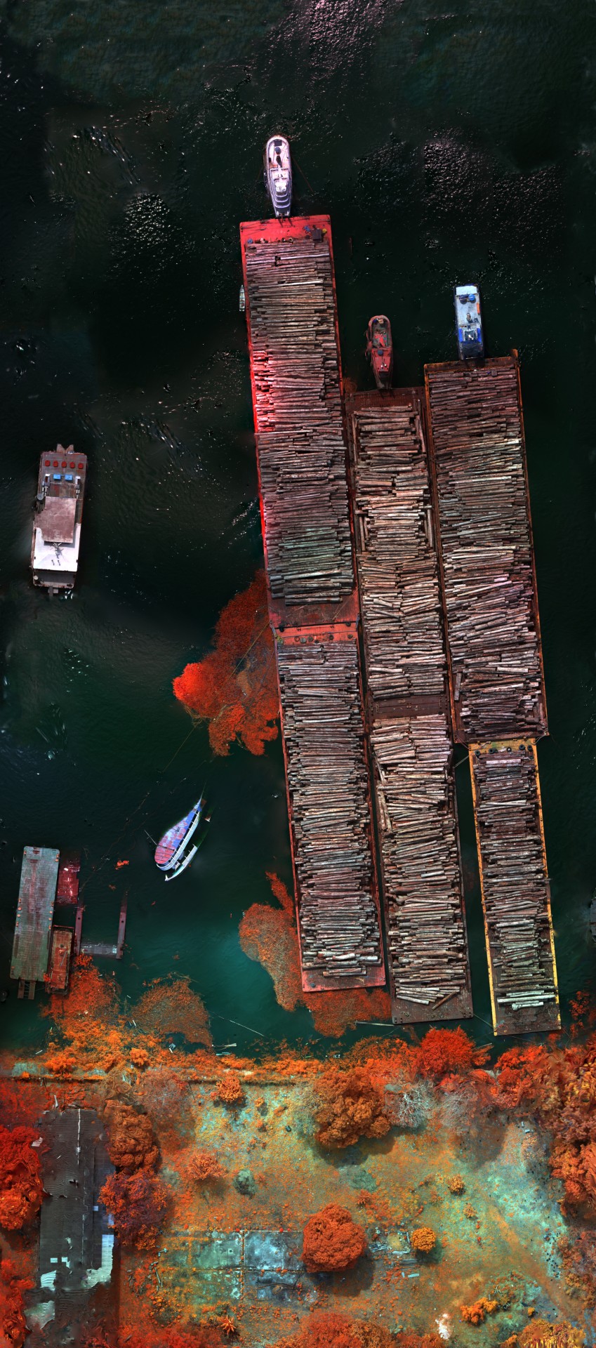 Infrared aerial photograph of log barges on dark water, the surrounding vegetation rendered in vivid red false colour.