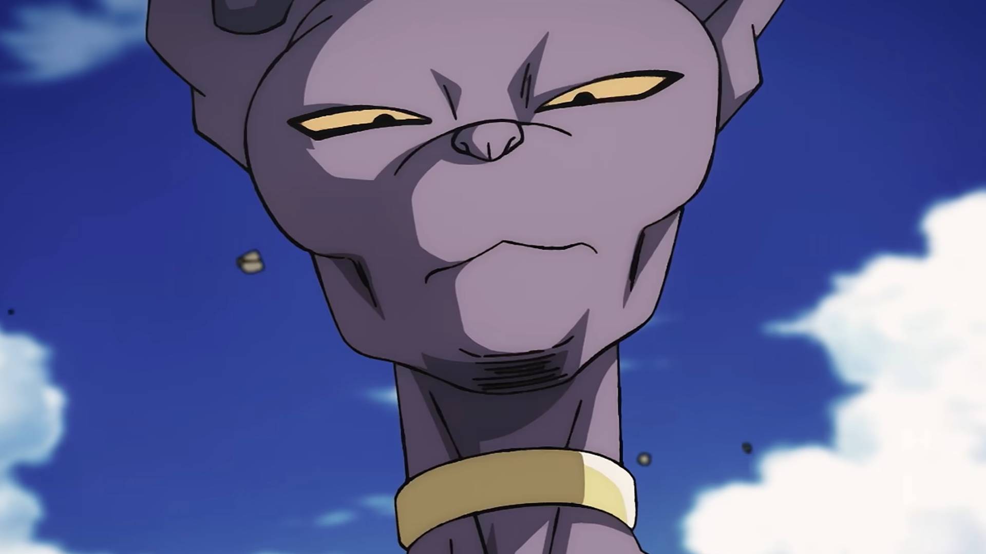 Beerus in Dragon Ball Super: Beerus