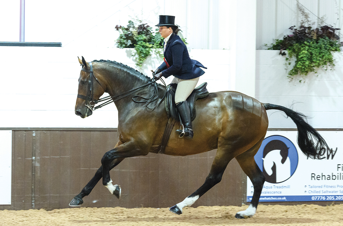668 Lorna Blake and LOWMOOR WINDSOR - BHSA Hunter Show 2019, Thursday 12 September 2019 &amp;Atilde;&amp;#130;&amp;Acirc;&amp;copy; Nico Morgan Media