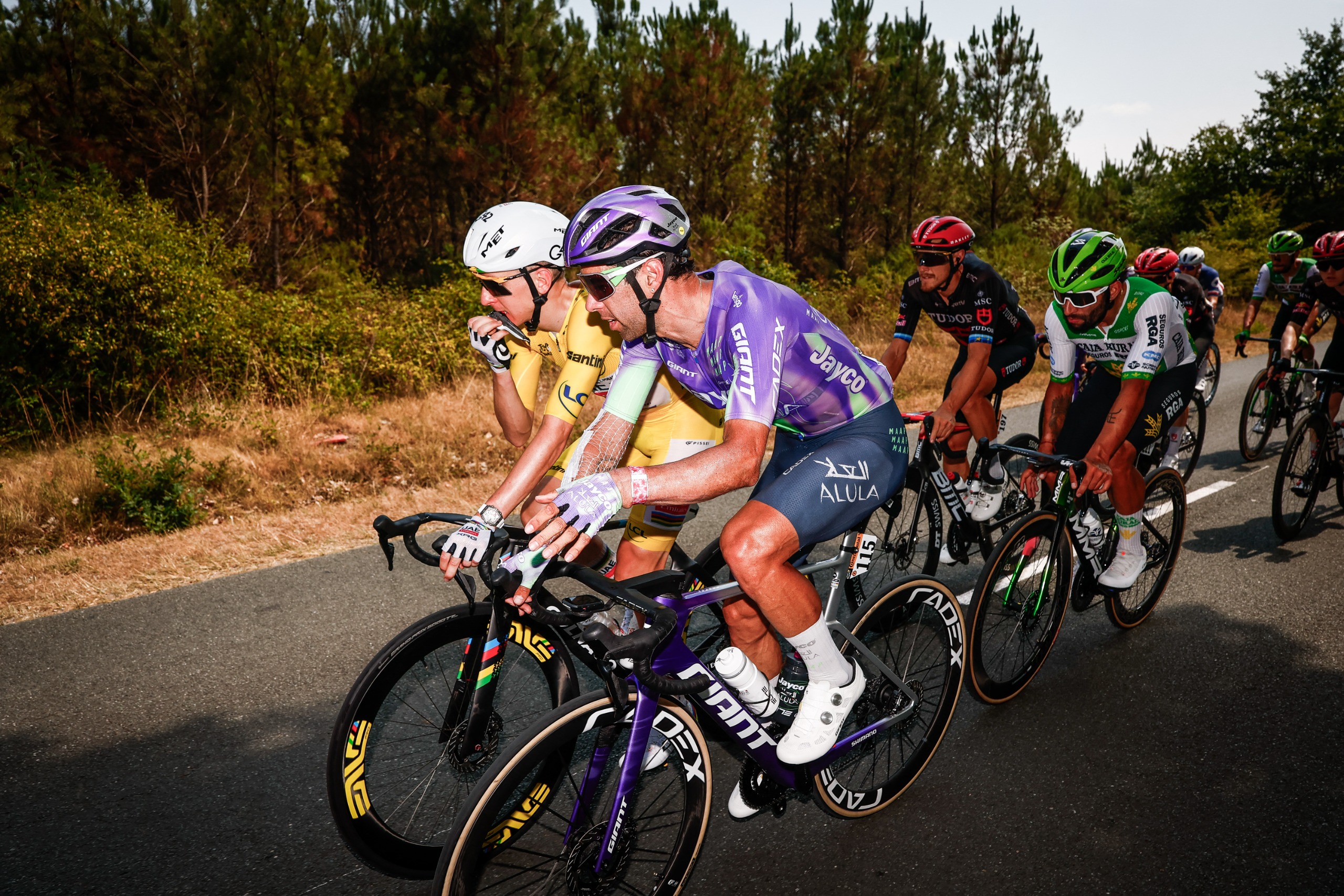 Michael Matthews speaks with Tadej Poga&amp;#269;ar in the peloton during a stage of the 2026 Tour de France