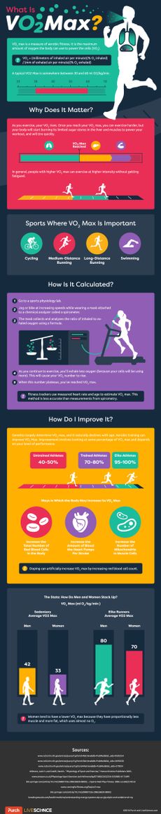 VO2 max infographic
