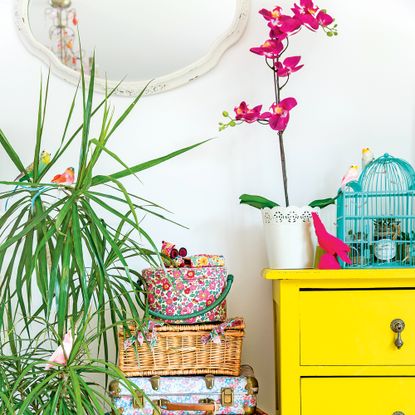 White room with yellow dresser, pink orchid, basket storage and plant 